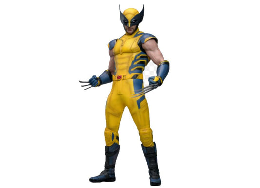 Ready! Hot Toys MMS753 Deadpool & Wolverine 1/6 Wolverine