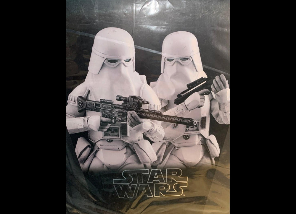 Hot Toys VGM25 STAR WARS BATTLEFRONT 1/6 SNOWTROOPERS