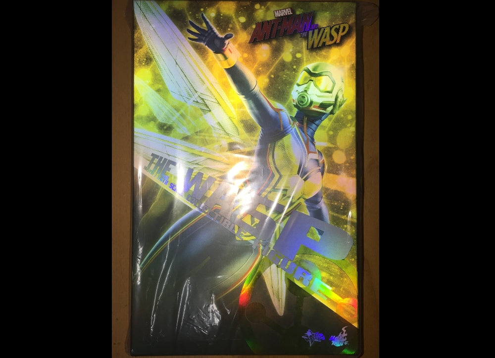 In Stock! Hot Toys MMS498 ANT-MAN AND THE WASP 1/6 THE WASP