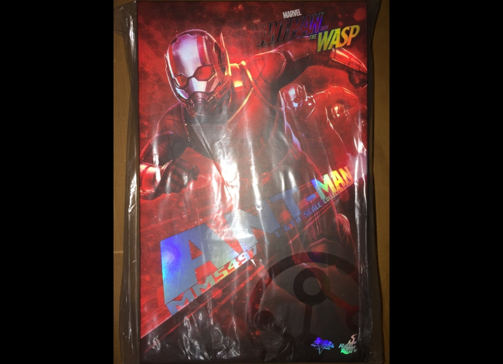 Hot Toys MMS497 蚁人和黄蜂女 1/6 蚁人