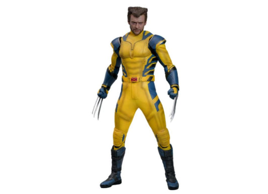 Ready! Hot Toys MMS754 Deadpool & Wolverine 1/6 Wolverine (Deluxe Version)