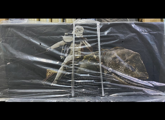 Ready! Hot Toys MMS722 Star Wars IV : A New Hope Sandtrooper Sergeant & Dewback