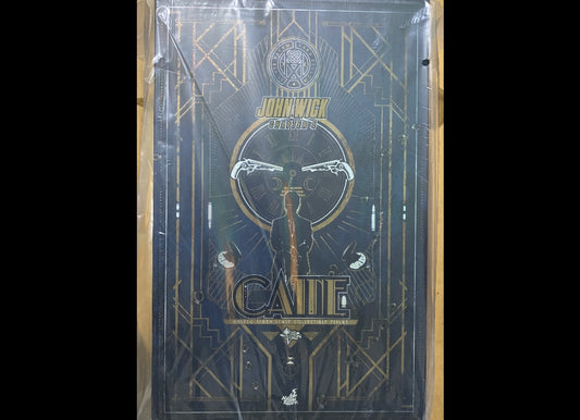 Ready! Hot Toys MMS730 John Wick: Chapter 4 1/6 Caine