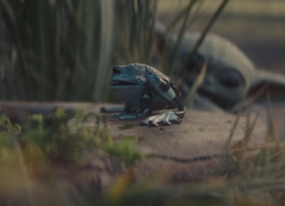 准备好了!Hot Toys TMS043 星球大战:曼达洛人 1/6 格罗古收藏套装