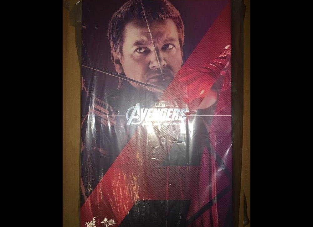Hot Toys MMS289 AVENGERS: AGE OF ULTRON 1/6 HAWKEYE