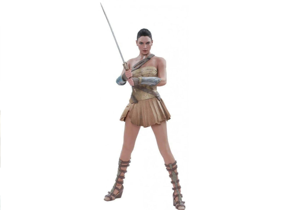 Hot Toys MMS424 WONDER WOMAN 1/6 (TRAINING ARMOR VERSION)