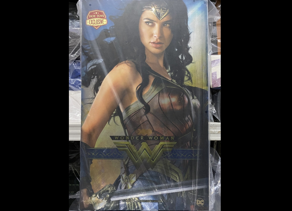 Ready! Hot Toys MMS698 WB 100 1/6 WONDER WOMAN EXCLUSIVE