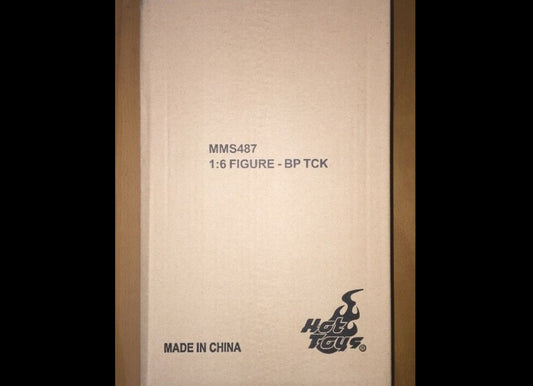 Hot Toys MMS487 黑豹 1/6 特查卡