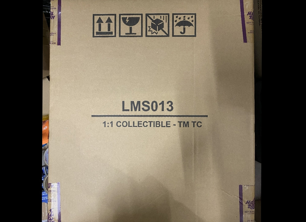 现货！Hot Toys LMS013 曼达洛人 尤达宝宝 等身人偶