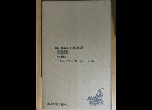 Ready Hot Toys TMS055 Star Wars Mandalorian Boba Fett Repaint Armorer Regular