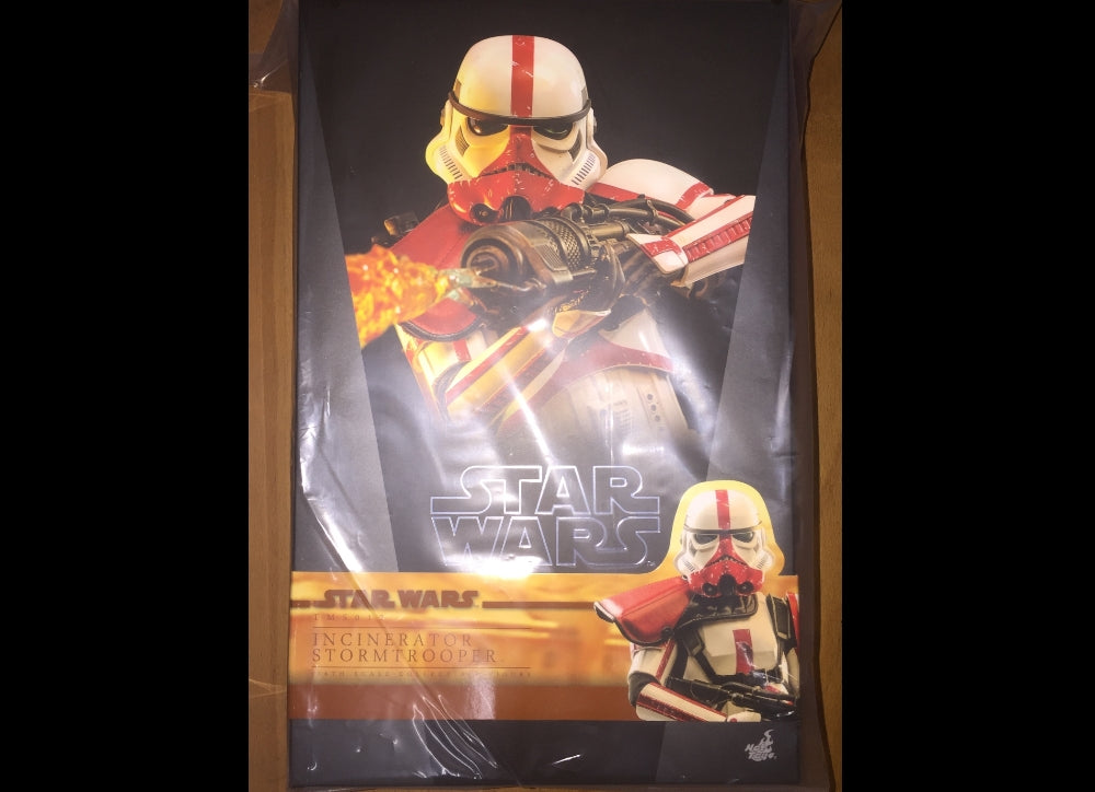 Ready! Hot Toys TMS012 THE MANDALORIAN 1/6 INCINERATOR STORMTROOPER
