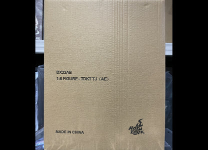 Ready! Hot Toys DX33AE The Dark Knight Trilogy 1/6 The Joker Artisan Edition