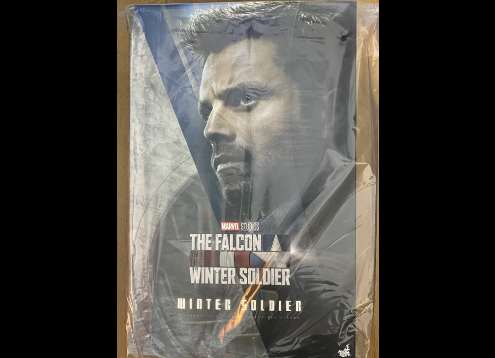 Ready! Hot Toys TMS039 The Falcon and the Winter Soldier 1/6 Winter Soldier