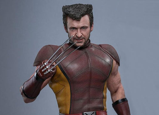 Ready Hot Toys MMS831 Deadpool & Wolverine 1/6 Wolverine (Classic Brown and Tan)