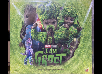 准备好了！Hot Toys TMS089 我是格鲁特 等身格鲁特豪华版