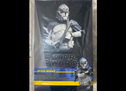 Hot Toys TMS142 Star Wars The Clone Wars 104th Battalion Wolfpack Clone Trooper