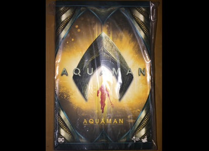 Hot Toys MMS518 AQUAMAN 1/6 Figure