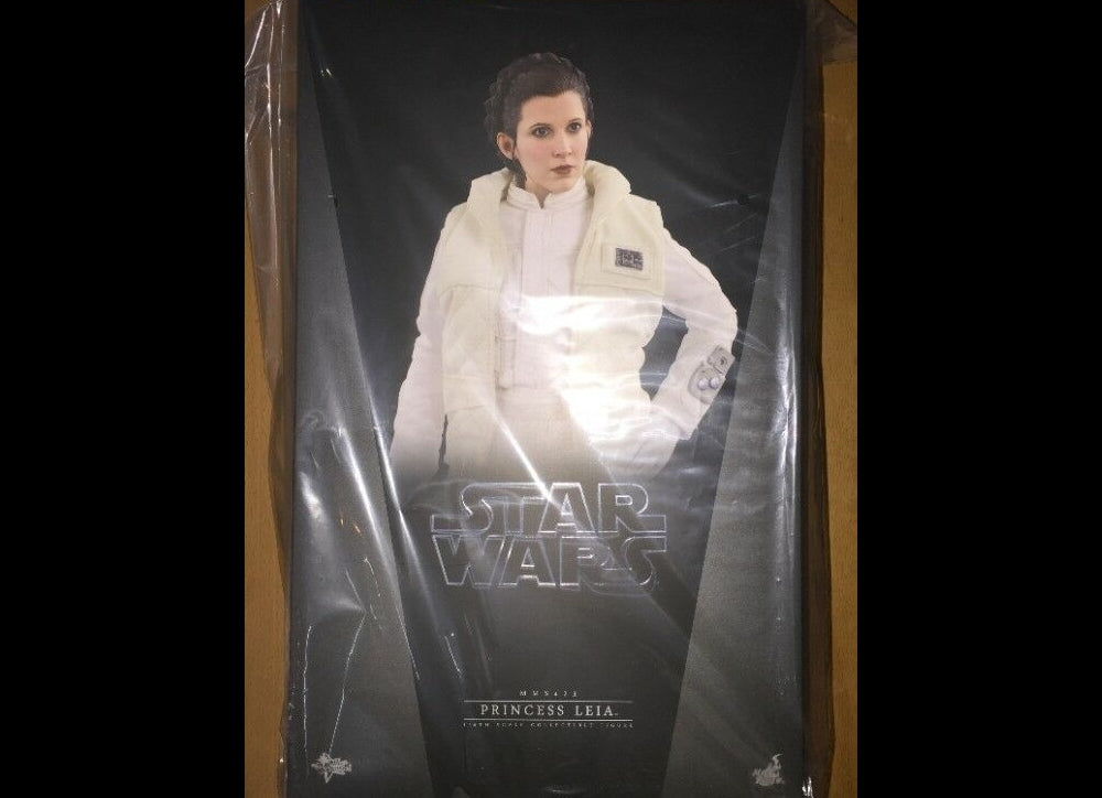 Hot Toys MMS423 星球大战：帝国反击战 1/6 莱娅公主