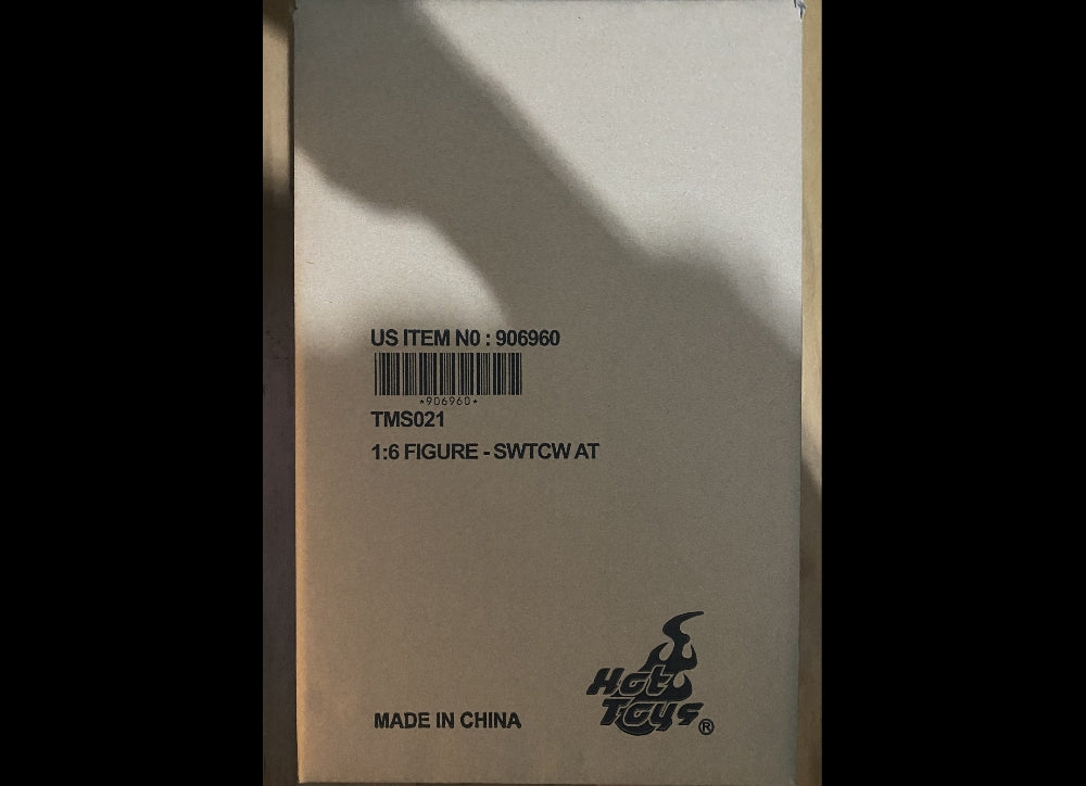 Ready! Hot Toys TMS021 STAR WARS: THE CLONE WARS 1/6 AHSOKA TANO (US Version)