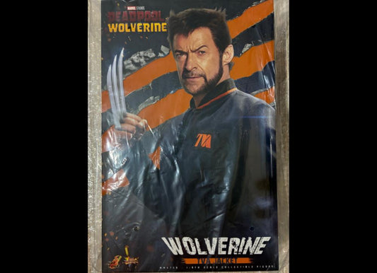 Ready! Hot Toys MMS756 Deadpool & Wolverine 1/6 Wolverine (TVA Jacket)