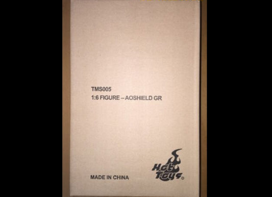 Hot Toys TMS005 AGENTS OF S.H.I.E.L.D. 1/6 GHOST RIDER