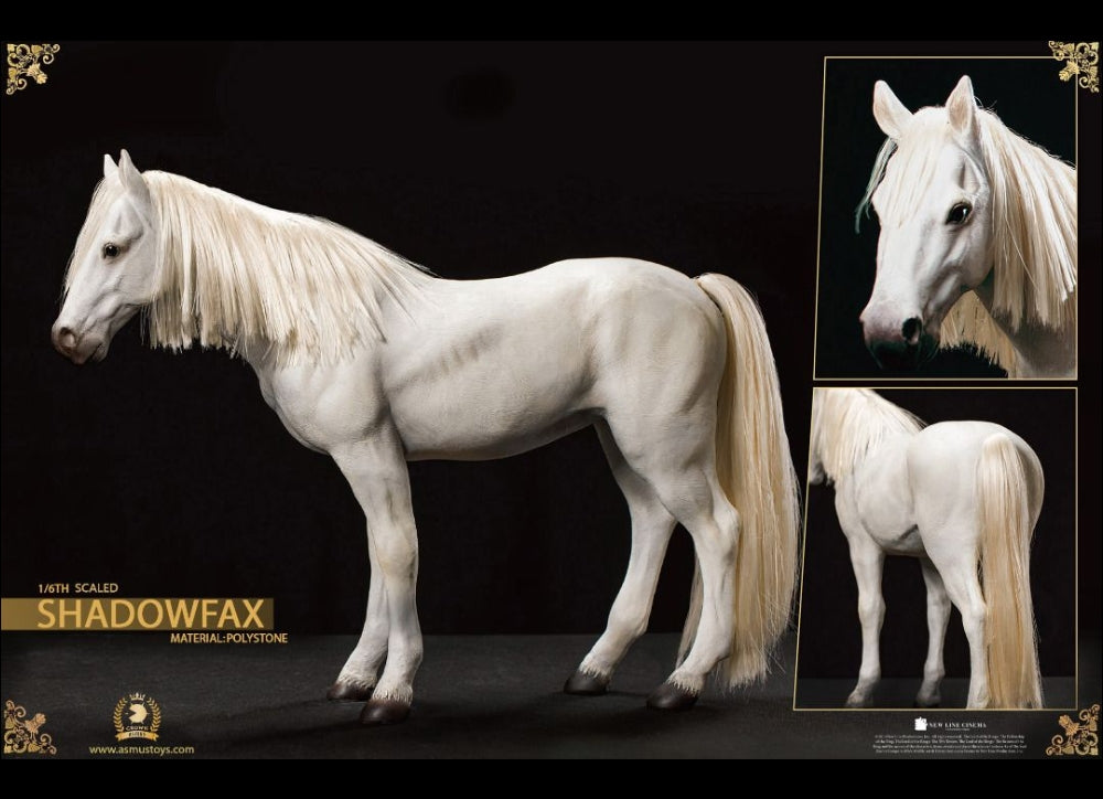 Ready! ASMUS TOYS THE CROWN 1/6 GANDALF THE WHITE