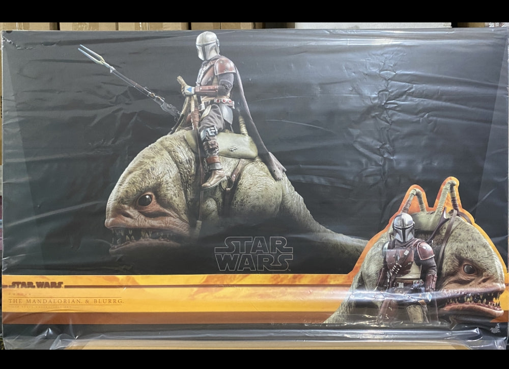 Hot Toys TMS046 Star Wars: The Mandalorian 1/6 Mandalorian & Grogu Imperfect Box