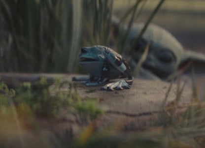 Ready! Hot Toys TMS043 Star Wars The Mandalorian 1/6th  Grogu Collectible Set