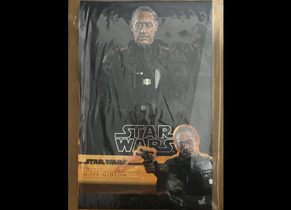 Ready! Hot Toys TMS029 STAR WARS: THE MANDALORIAN 1/6 MOFF GIDEON