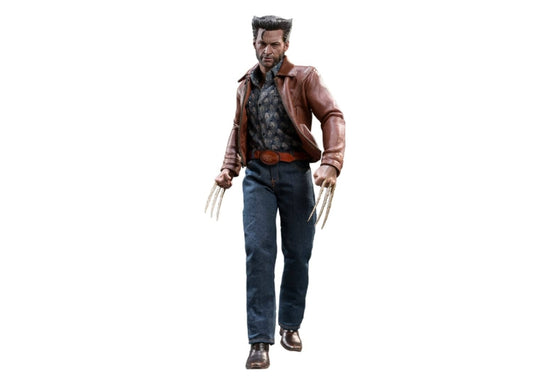 现货！Hot Toys MMS659B 1/6 金刚狼 1973 版（普通版）（特别版）