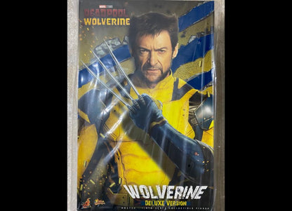 Ready! Hot Toys MMS754 Deadpool & Wolverine 1/6 Wolverine (Deluxe Version)