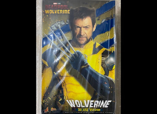 Ready! Hot Toys MMS754 Deadpool & Wolverine 1/6 Wolverine (Deluxe Version)