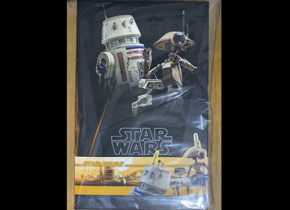 Ready! Hot Toys TMS086 STAR WARS THE BOOK OF BOBA FETT 1/6 R5-D4 PIT DROID BD-72