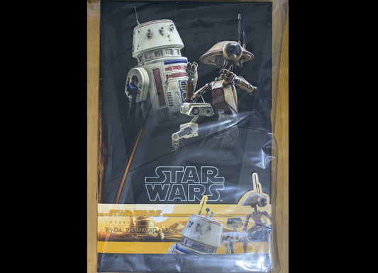 Ready! Hot Toys TMS086 STAR WARS THE BOOK OF BOBA FETT 1/6 R5-D4 PIT DROID BD-72