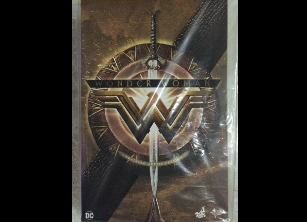 Hot Toys MMS424 WONDER WOMAN 1/6 (TRAINING ARMOR VERSION)