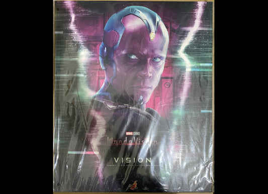 Ready! Hot Toys TMS037 WandaVision 1/6 VISION