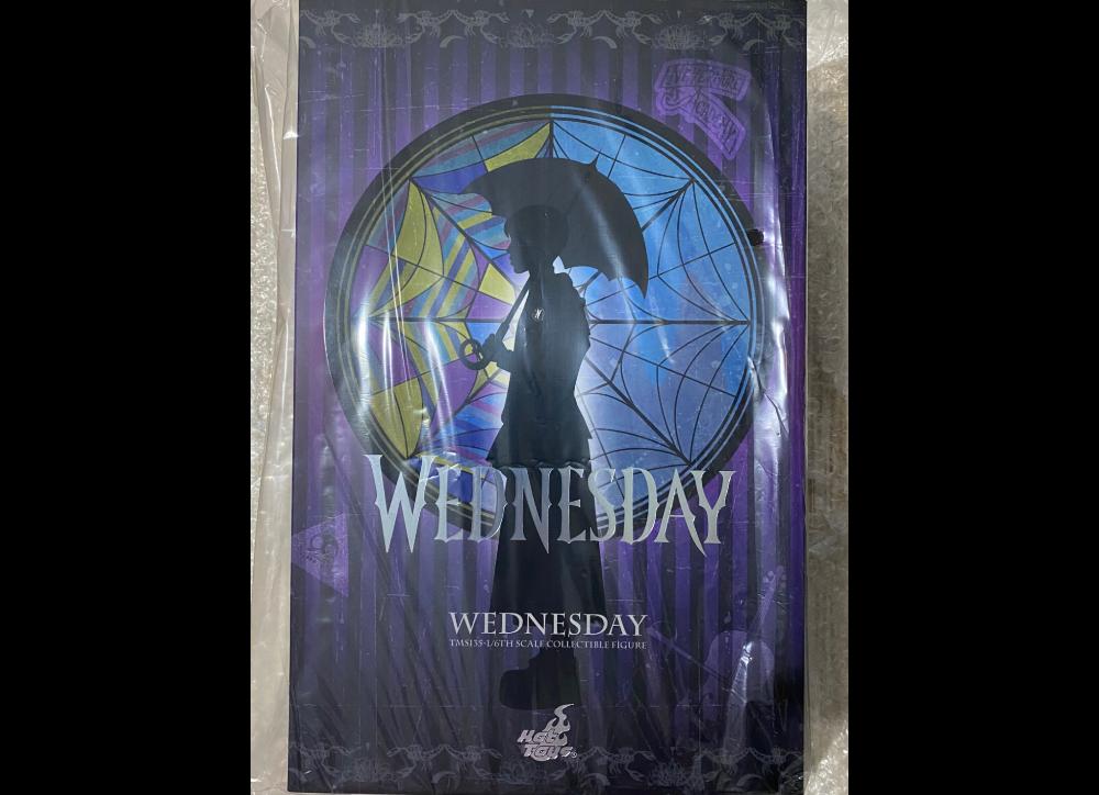 Ready! Hot Toys TMS135 Wednesday 1/6 Wednesday