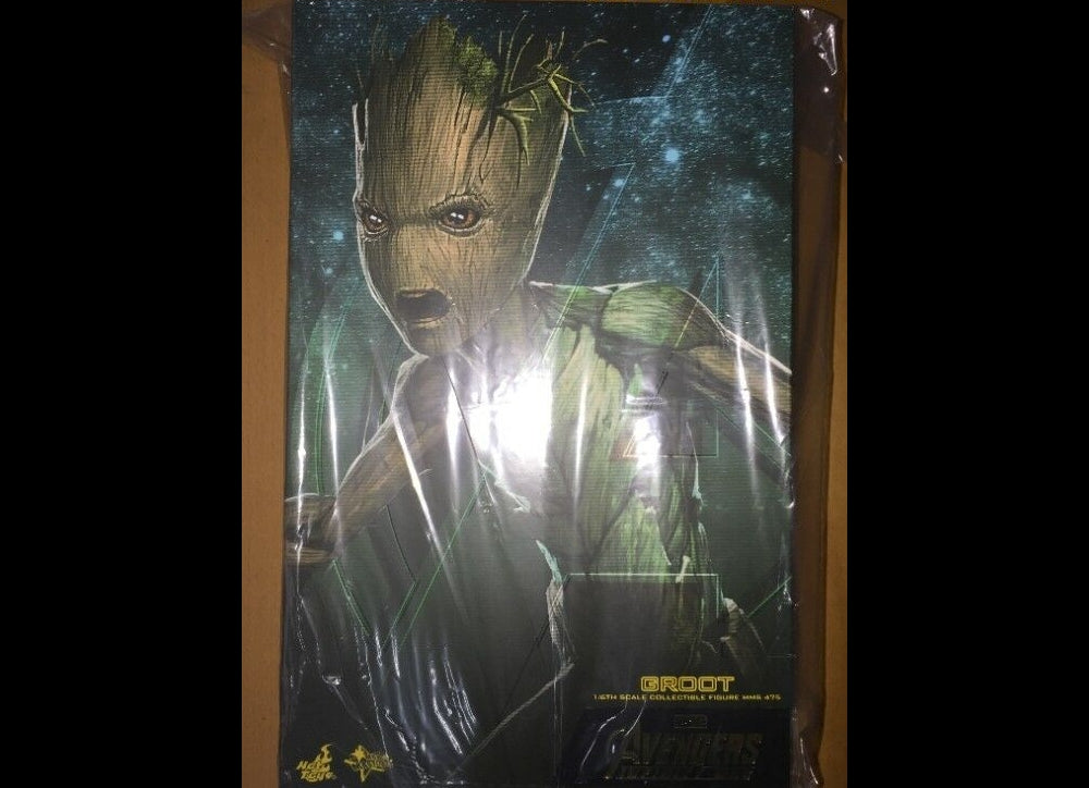 Hot Toys MMS475 复仇者联盟3：无限战争 1/6 格鲁特