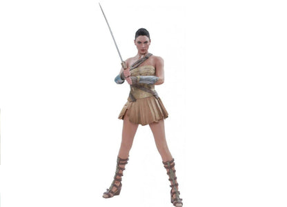 Hot Toys MMS424 WONDER WOMAN 1/6 (TRAINING ARMOR VERSION)