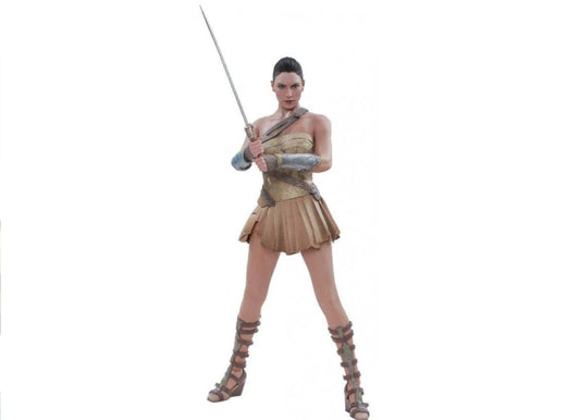 Hot Toys MMS424 神奇女侠 1/6（训练盔甲版）