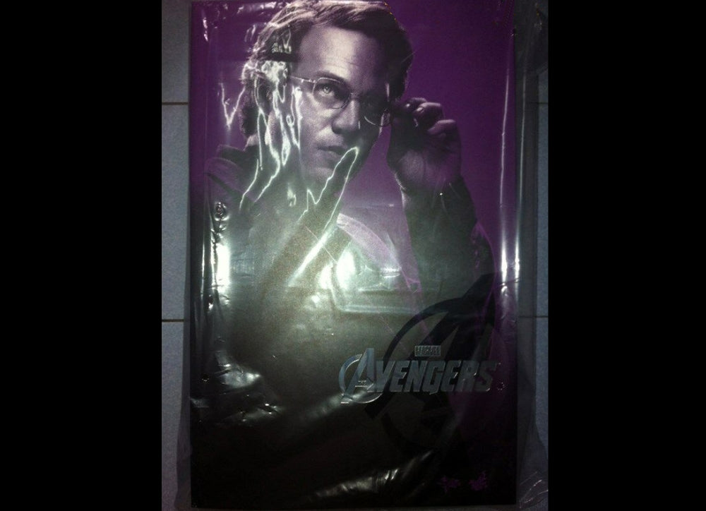 Hot Toys MMS229 THE AVENGERS 1/6 BRUCE BANNER