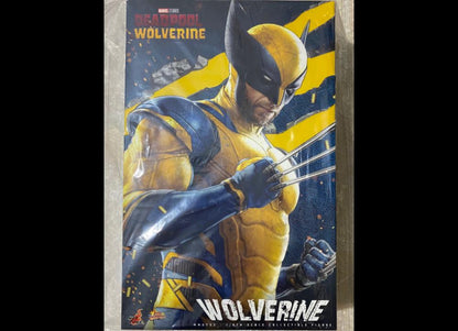 Ready! Hot Toys MMS753 Deadpool & Wolverine 1/6 Wolverine
