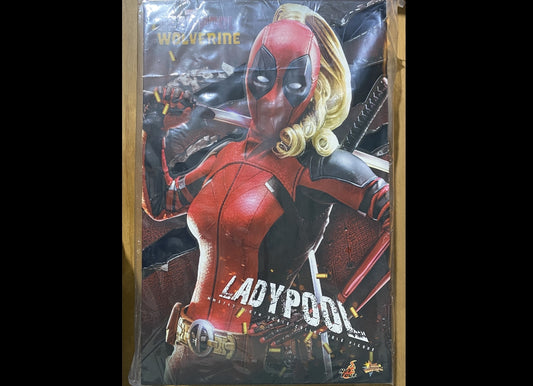 Ready! Hot Toys MMS747 Deadpool & Wolverine 1/6 Ladypool