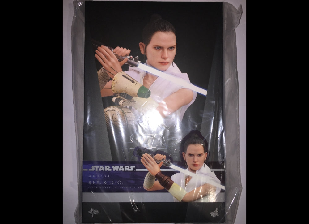Ready! Hot Toys MMS559 STAR WARS: THE RISE OF SKYWALKER 1/6 REY AND D-O