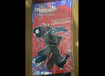 Ready! Hot Toys MMS567 SPIDER-MAN: INTO THE SPIDER-VERSE 1/6 MILES MORALES