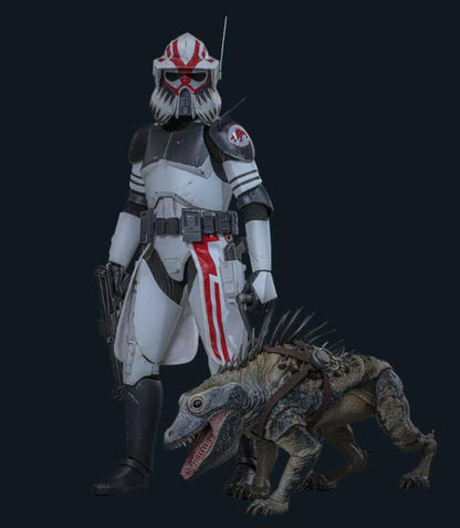 准备好了！Hot Toys TMS133 星球大战：克隆战争 1/6 比例 ARC 突击队员 Echo
